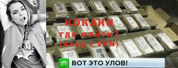 крисы Инта