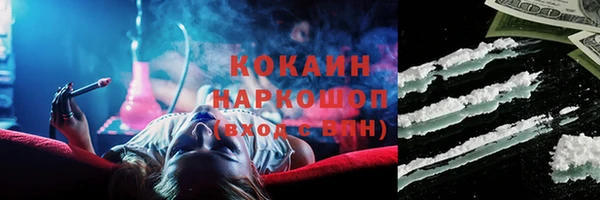 крисы Инта