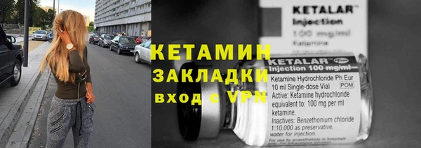 крисы Инта