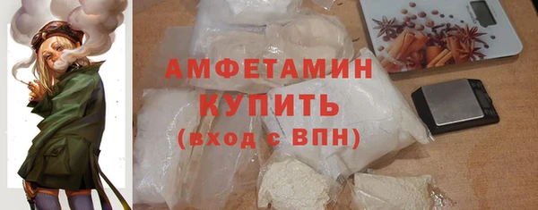 крисы Инта