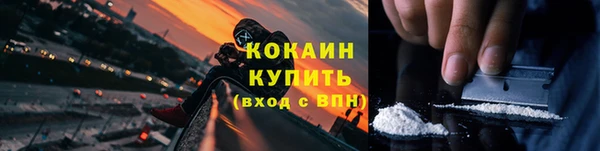 крисы Инта