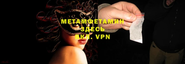 шишки Медногорск