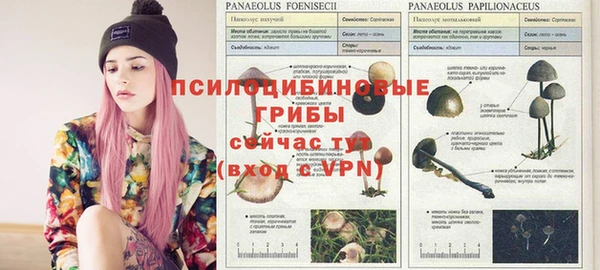 СК Медвежьегорск