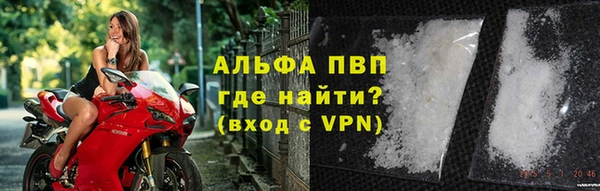 СК Медвежьегорск