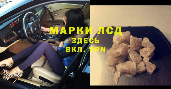 крисы Инта