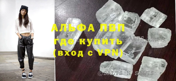 крисы Инта