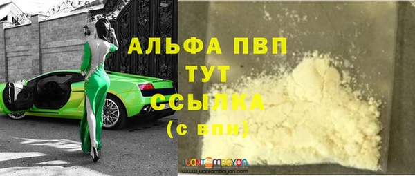 крисы Инта