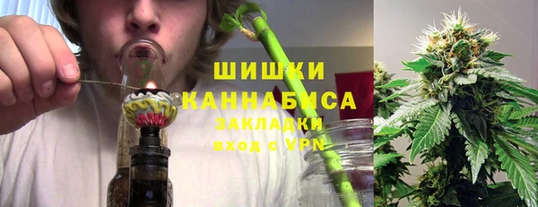 крисы Инта