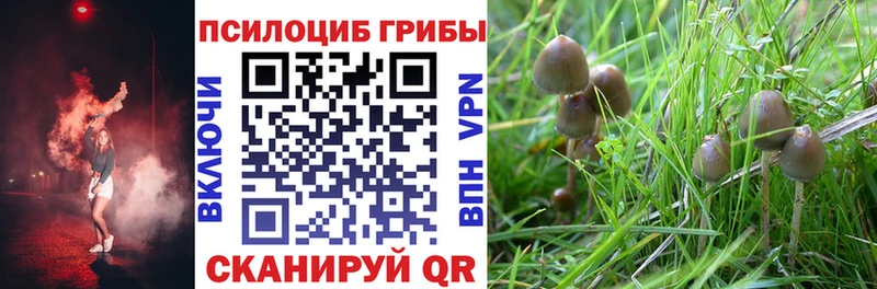 Псилоцибиновые грибы мухоморы  omg онион  Макарьев 